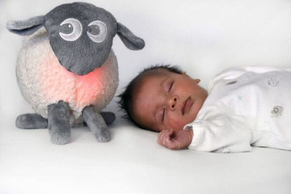 Night Lights & Cot Mobiles ewan deluxe dream sheep Pitter Patter Baby NI 7