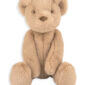 teddy bear soft toy