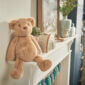 teddy bear soft toy