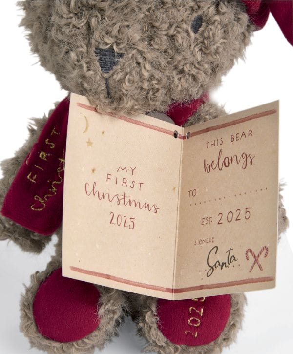 my first christmas teddy bear XM_Soft Toy Xmas Bear_Christmas _