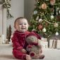XM_Soft_Toy_Xmas_Bear_Model_Christmas__Lifestyle_Hero_