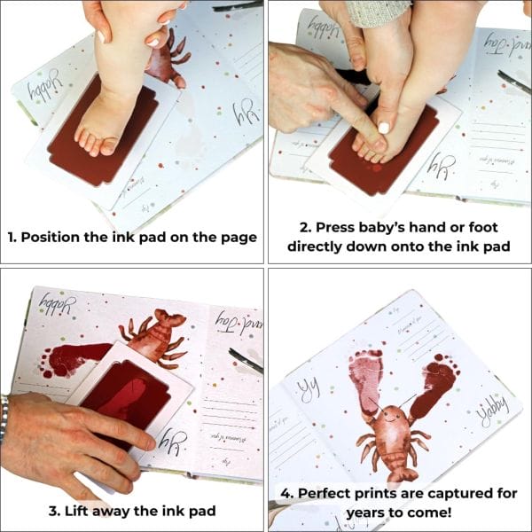 abc animals starter kit wCwZmePfL._AC_SL_