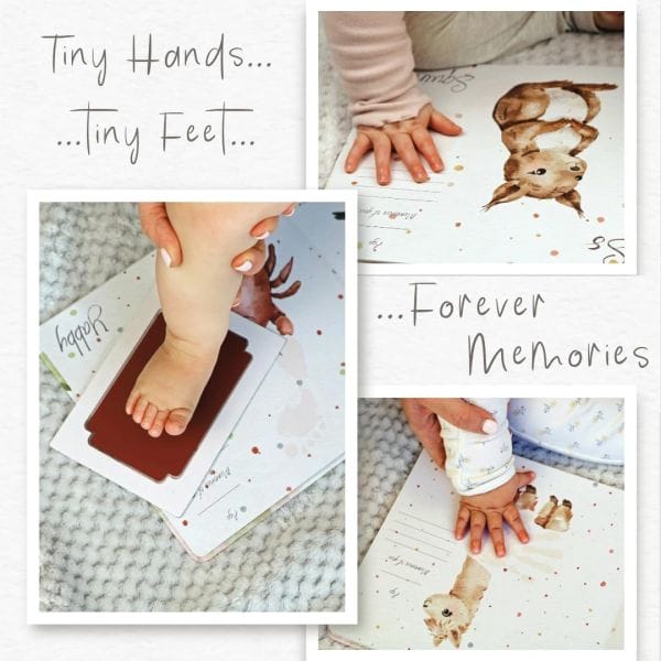 abc animals starter kit ZdSeXChL._AC_SL_