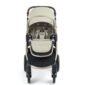 6161S4300_06_OCARRO 2_SHELL